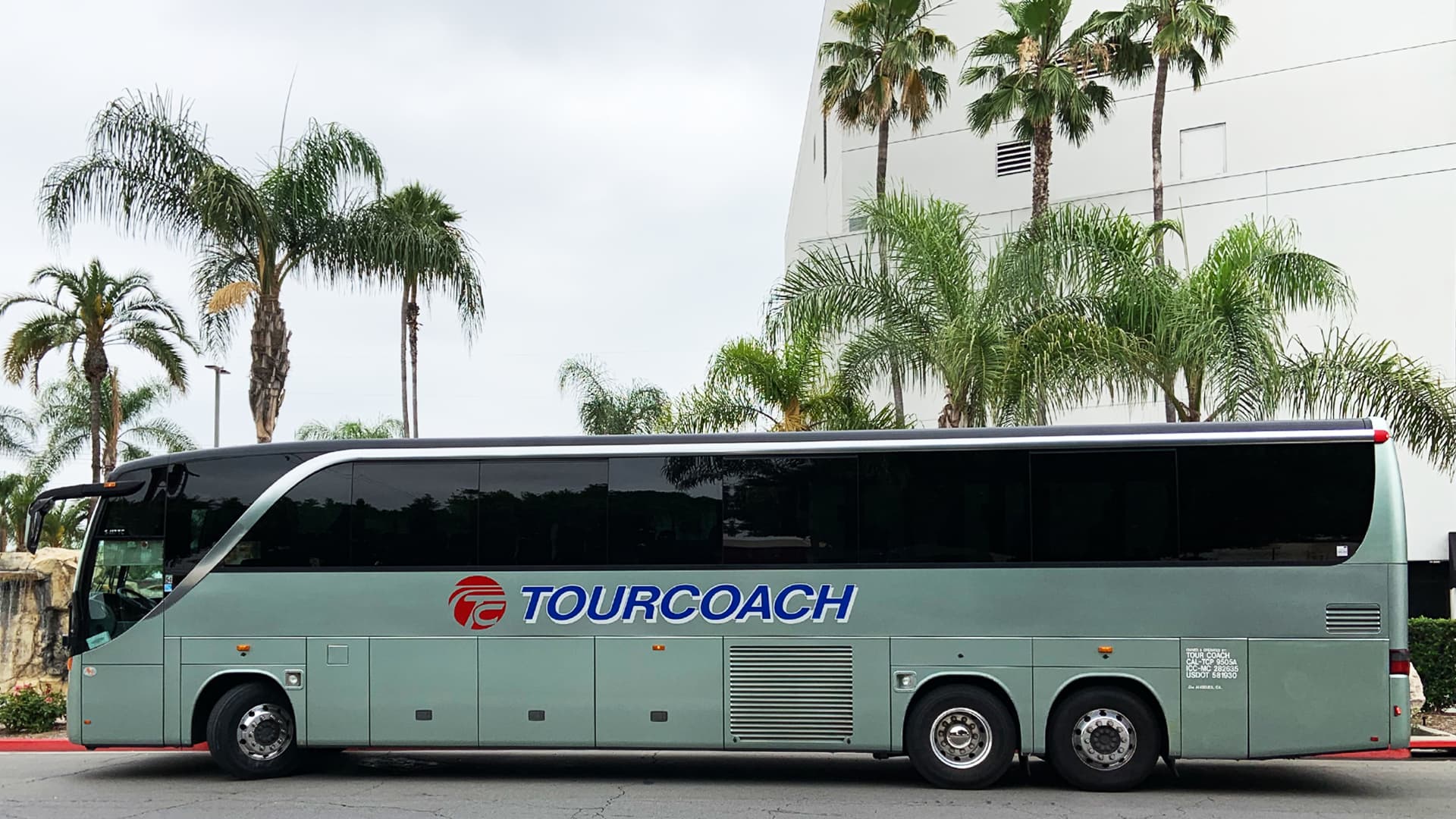 TourCoach bus with palm trees in background