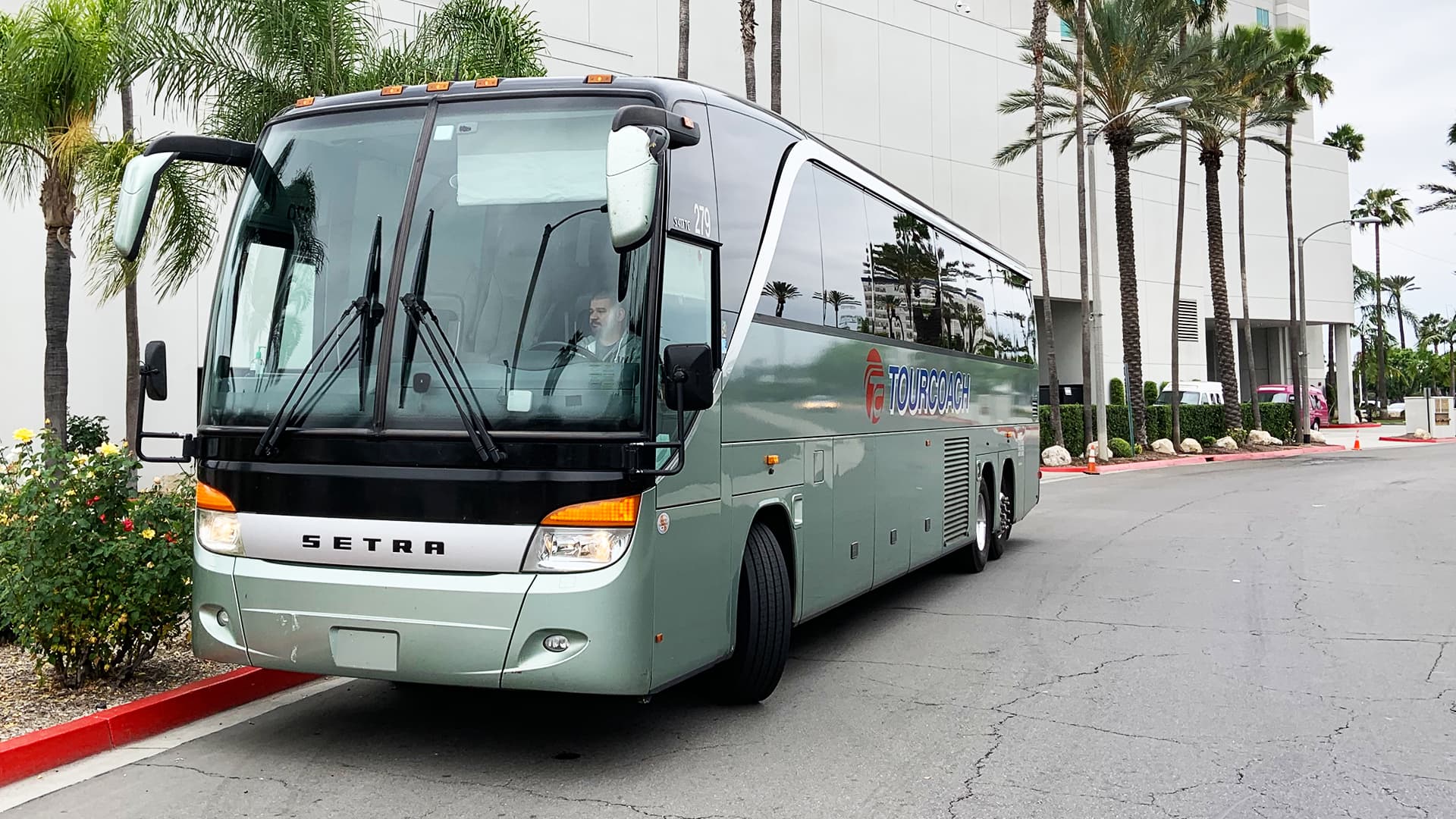TourCoach Bus driving down street lined with palm trees