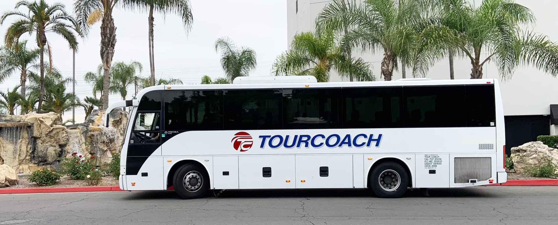 Tour Coach bus parked on side of palm tree lined road
