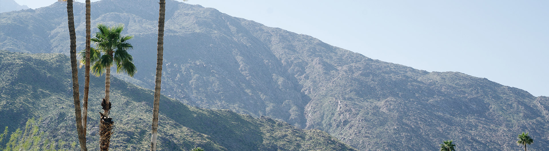 View of Palm Springs
