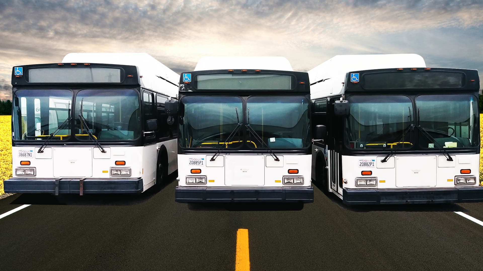 Three TourCoach Buses lined up on a highway