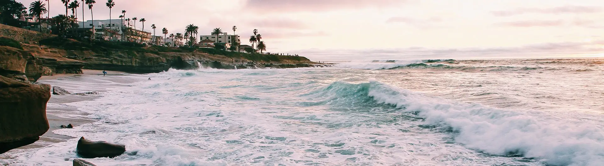 Charter Bus Rental in San Diego, CA